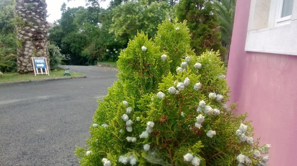 Отель Quinta De Sao Francisco Синтра Экстерьер фото